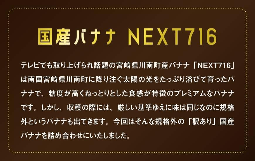 【ふるさと納税】 【訳あり】国産バナナ1kg 【12ヶ月定期便】 【 国産 バナナ 無農薬 フルーツ 果物 デザート 朝食 スムージー 川南町 全12回】ご自宅用や皮ごとスムージーにもオススメ！ F5805 送料無料 サムネイル2