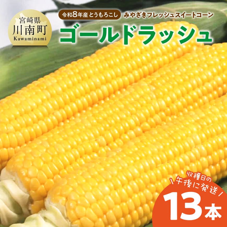 【令和8年発送】　宮崎県産とうもろこし　みやざきフレッシュスイートコーン「ゴールドラッシュ」13本 - トウモロコシ 新鮮 朝どれ 農家直送 産地直送 JA 真空予冷 期間限定 先行予約 宮崎県 川南町 送料無料 C03803