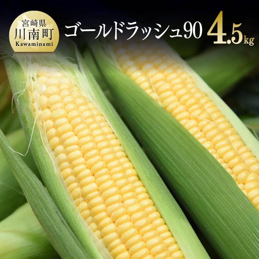 【令和8年発送】政岡さんちのスイートコーン『ゴールドラッシュ90』4.5kg - 先行予約 数量限定 期間限定 2026年発送 とうもろこし スイートコーン 朝どれ 農家直送 九州産 宮崎県産 川南町産 送料無料 C06502
