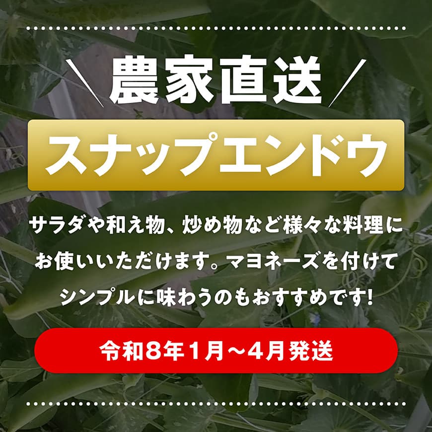 【ふるさと納税】【令和8年発送】朝どれ！守部さん家のスナップエンドウ2.0kg - 2026年発送 九州産 宮崎県産 川南町産 送料無料 C06416 - 画像2