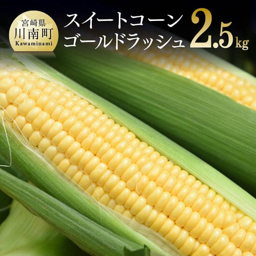 【令和8年発送】宮崎県産とうもろこし　朝どれ！守部さんちのゴールドラッシュ2.5kg - 先行予約 数量限定 期間限定 宮崎県産 川南町産 とうもろこし ゴールドラッシュ 朝どれ 送料無料 C06407