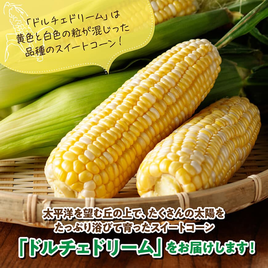 【ふるさと納税】【令和8年発送】宮崎県産とうもろこし　朝どれ！守部さんちのドルチェドリーム5kg - 先行予約 数量限定 期間限定 スイートコーン とうもろこし 九州産 宮崎県産 川南町産 送料無料 C06404 サムネイル2
