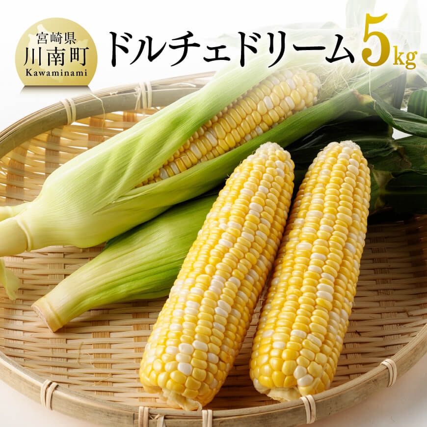 【令和8年発送】宮崎県産とうもろこし　朝どれ！守部さんちのドルチェドリーム5kg - 先行予約 数量限定 期間限定 スイートコーン とうもろこし 九州産 宮崎県産 川南町産 送料無料 C06404