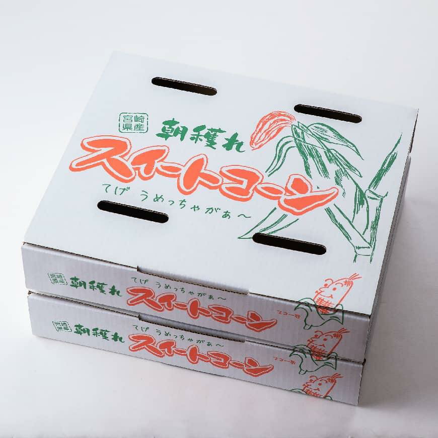 【ふるさと納税】【令和8年発送】宮崎県産とうもろこし　朝どれ！守部さんちのゴールドラッシュ5kg - 先行予約 数量限定 期間限定 宮崎県産 川南町産 とうもろこし 送料無料 朝どれ C06408 サムネイル2