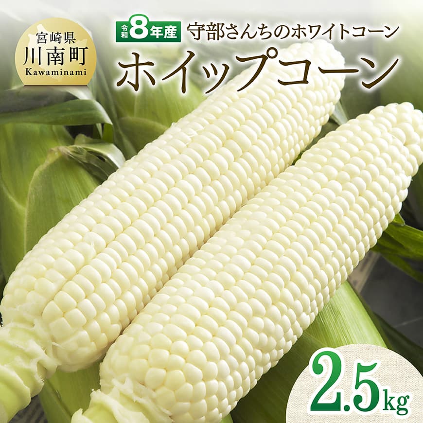 【令和8年発送】宮崎県産とうもろこし　守部さんちのホワイトコーン「ホイップコーン」2.5kg - とうもろこし ホワイトコーン トウモロコシ ホイップコーン 令和8年発送 先行予約 数量限定 期間限定 C06411