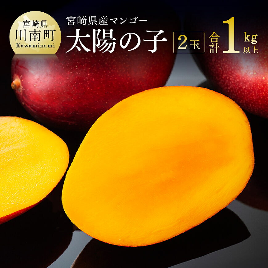 【令和8年発送】宮崎マンゴー 太陽の子2玉（1kg以上） - 果物 くだもの フルーツ 宮崎マンゴー 送料無料 C06701