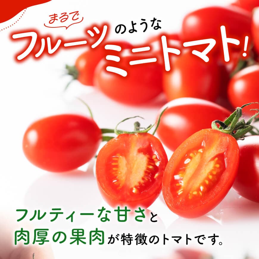 【ふるさと納税】 宮崎県産ミニトマト「アイコ」3kg - 宮崎県産 ミニトマト トマト C03805 - 画像2
