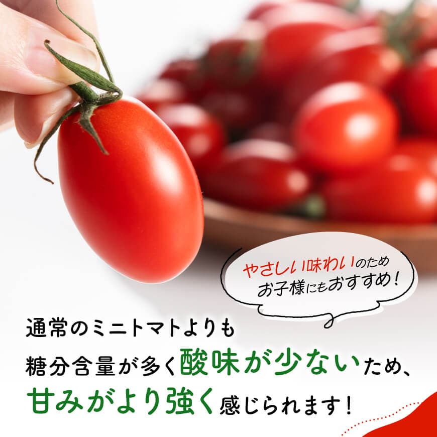 【ふるさと納税】 宮崎県産ミニトマト「アイコ」3kg - 宮崎県産 ミニトマト トマト C03805 - 画像3