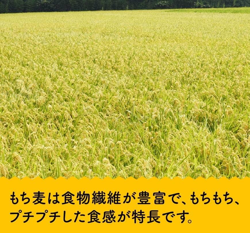【ふるさと納税】 令和7年産 もち麦 2.5kg（500g×5袋） - ふるさと納税 国産 麦 もち麦 食物繊維 数量限定 宮崎県産 川南町産 送料無料 C05401 - 画像2