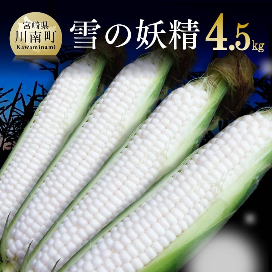 【令和8年発送】大山さんちのホワイトコーン(雪の妖精)4.5kg - 先行予約 数量限定 期間限定 季節限定 送料無料 とうもろこし 大山農園 スイートコーン C07102