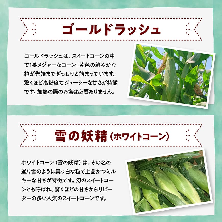 【ふるさと納税】【3回定期便】※令和8年発送※ 大山さんちのスイートコーン3種（各5〜8本） - 季節限定 数量限定 先行予約 期間限定 送料無料 セット 九州産 宮崎県産 川南町産 とうもろこし 定期便 C07107t3 - 画像2