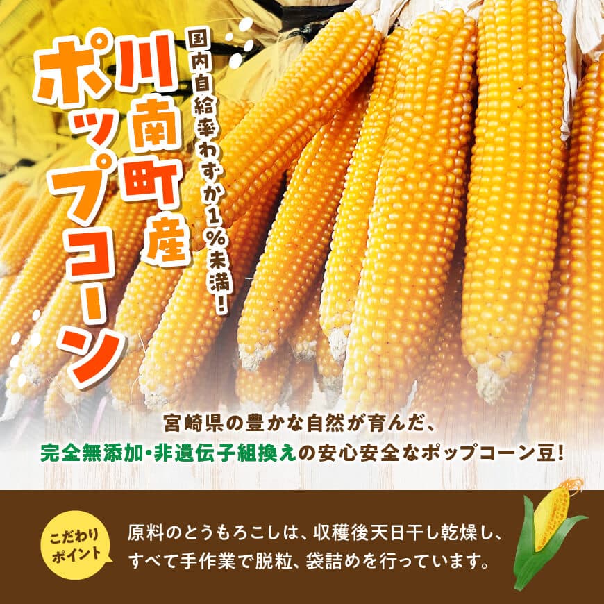 【ふるさと納税】国産ポップコーン用（乾燥とうもろこし）　500g（個包装50g×10パック） - 数量限定 期間限定 宮崎県産 とうもろこし トウモロコシ ポップコーン 送料無料 宮崎県 川南町 C07109 - 画像2