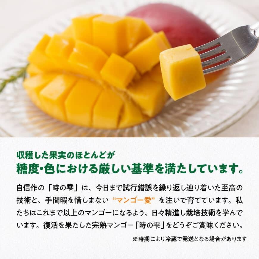 【ふるさと納税】【令和8年発送】宮崎県産 完熟マンゴー「時の雫」 4L×2玉 - 果物 フルーツ マンゴー 宮崎県産 九州産 完熟マンゴー みやざきマンゴー 先行予約 数量限定 期間限定 送料無料 C08604 サムネイル2