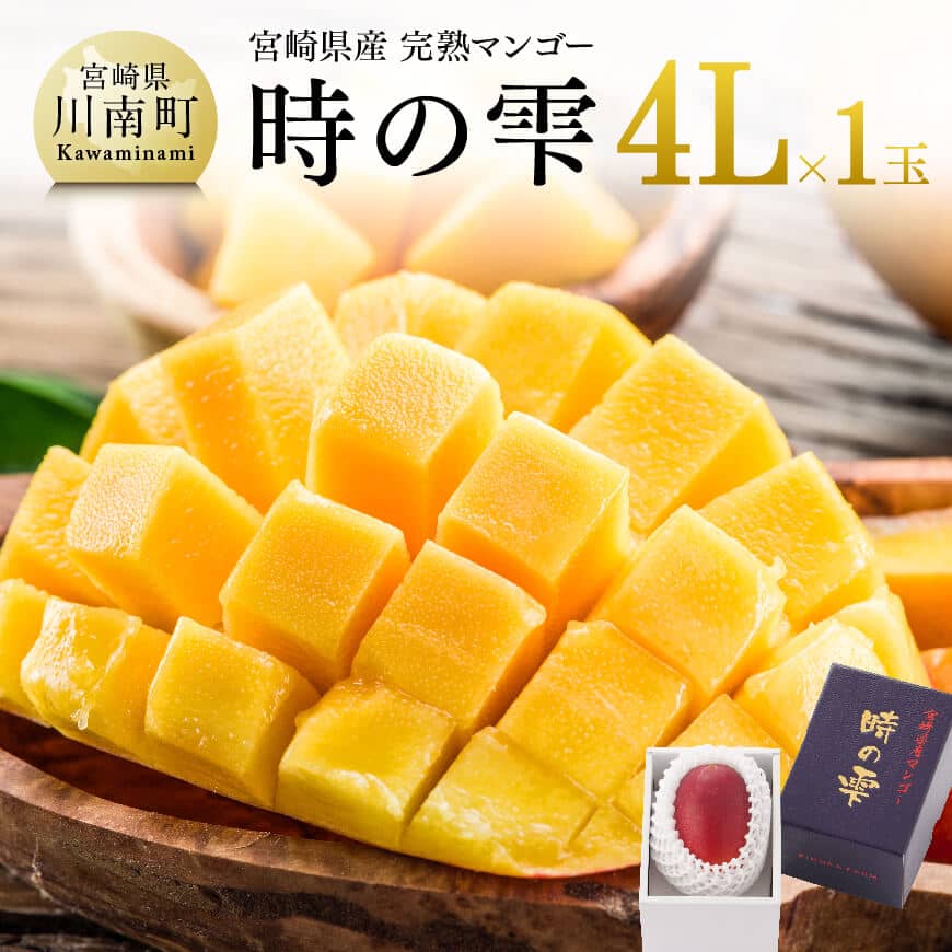 【令和8年発送】宮崎県産 完熟マンゴー「時の雫」 4L×1玉 - 果物 フルーツ マンゴー 宮崎県産 九州産 完熟マンゴー みやざきマンゴー 先行予約 数量限定 期間限定 送料無料 C08603