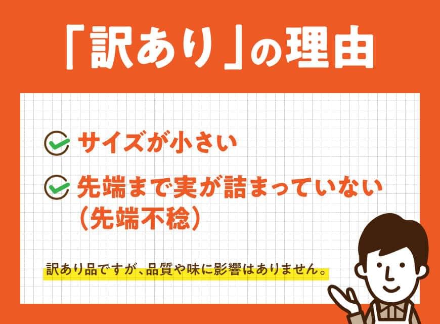 【ふるさと納税】【訳あり】令和8年発送　宮崎県産とうもろこし　スイートコーン「ゴールドラッシュ」13〜20本 - 宮崎県産 川南町産 九州産 新鮮 農家直送 産地直送 スィート—コーン 送料無料 C09104 - 画像2