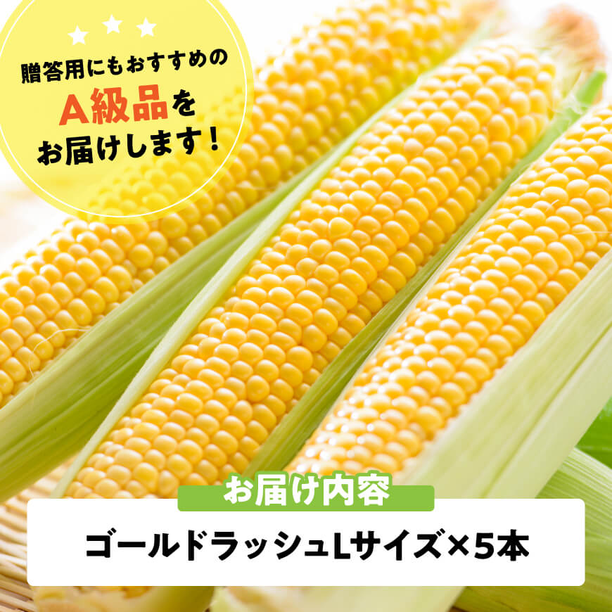 【ふるさと納税】【令和8年発送】宮崎県産とうもろこし　スイートコーン「ゴールドラッシュ」L×5本 - 宮崎県産 川南町産 九州産 新鮮 農家直送 産地直送 スィート—コーン とうもろこし 送料無料 C09107 - 画像3