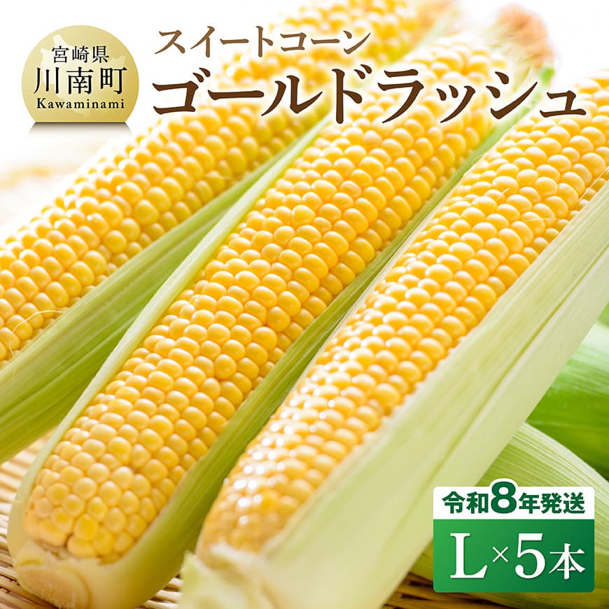 【令和8年発送】宮崎県産とうもろこし　スイートコーン「ゴールドラッシュ」L×5本 - 宮崎県産 川南町産 九州産 新鮮 農家直送 産地直送 スィート—コーン とうもろこし 送料無料 C09107