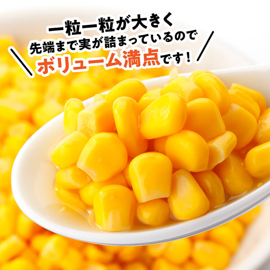 【ふるさと納税】【令和8年発送】宮崎県産とうもろこし　スイートコーン「ゴールドラッシュ」3L×5本 - 新鮮 農家直送 トウモロコシ 産地直送 季節限定 期間限定 宮崎県産 九州産 C09108 - 画像2
