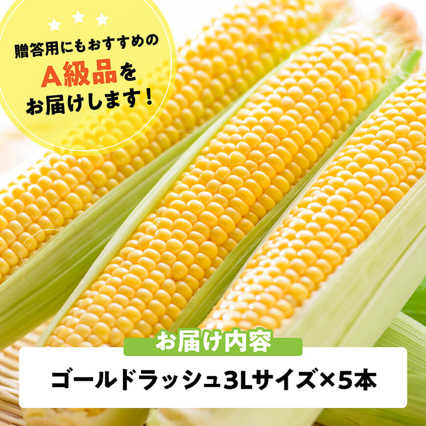 【ふるさと納税】【令和8年発送】宮崎県産とうもろこし　スイートコーン「ゴールドラッシュ」3L×5本 - 新鮮 農家直送 トウモロコシ 産地直送 季節限定 期間限定 宮崎県産 九州産 C09108 - 画像3