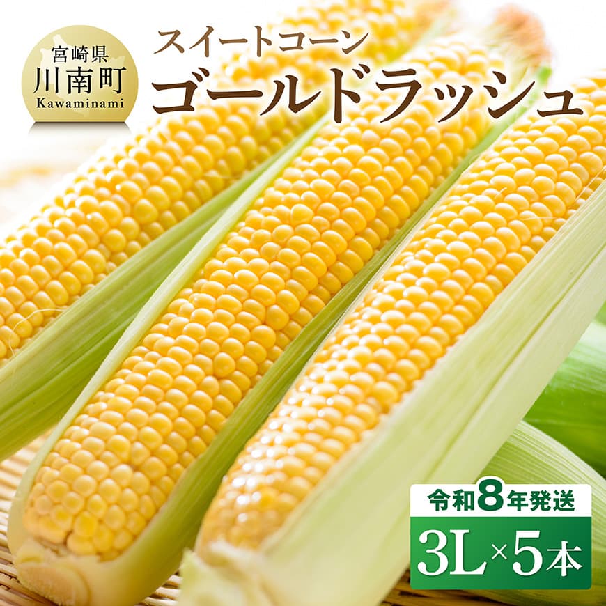 【令和8年発送】宮崎県産とうもろこし　スイートコーン「ゴールドラッシュ」3L×5本 - 新鮮 農家直送 トウモロコシ 産地直送 季節限定 期間限定 宮崎県産 九州産 C09108