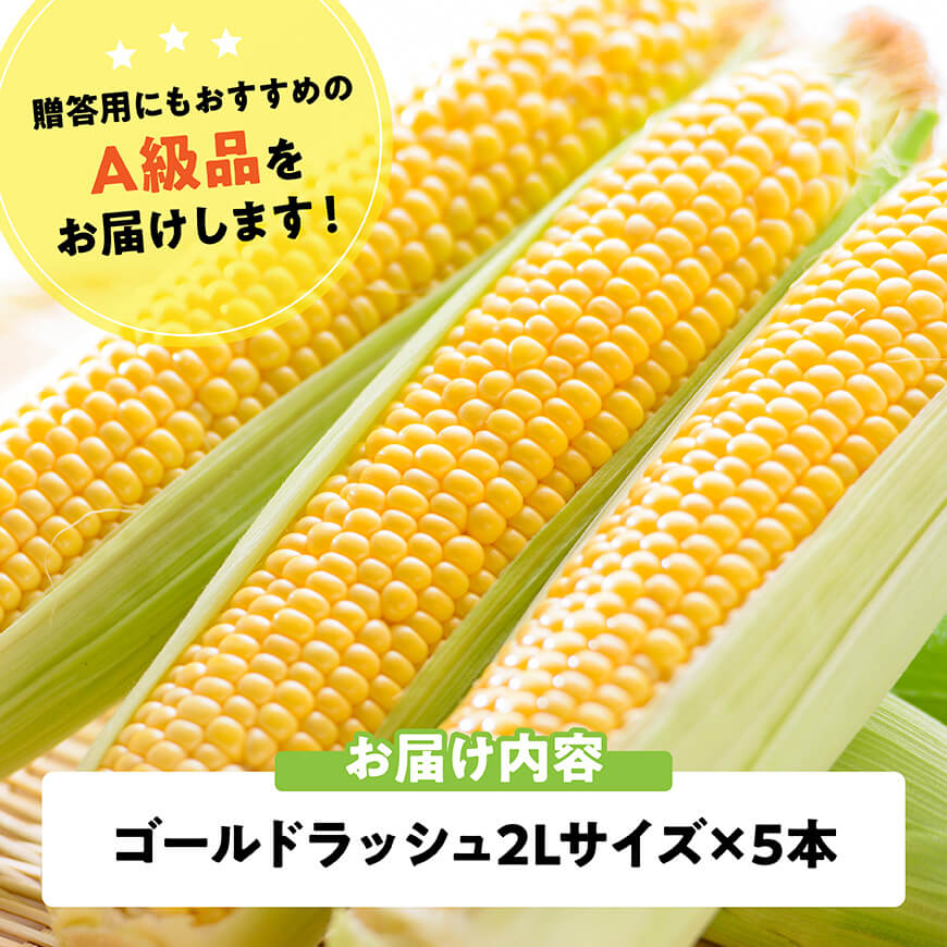 【ふるさと納税】【令和8年発送】宮崎県産とうもろこし　スイートコーン「ゴールドラッシュ」2L×5本 - 新鮮 農家直送 トウモロコシ 産地直送 季節限定 期間限定 宮崎県産 九州産 C09109 - 画像3
