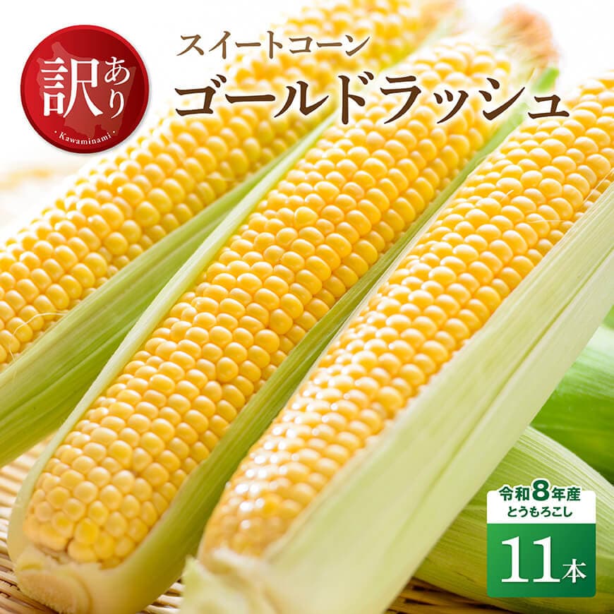 【訳あり】令和8年産とうもろこし　スイートコーン「ゴールドラッシュ」11本 - とうもろこし とうきび トウモロコシ 先行予約 朝どれ 野菜 宮崎県産 川南町産 国産 新鮮 農家直送 産地直送 季節限定 送料無料 宮崎県川南町C09101