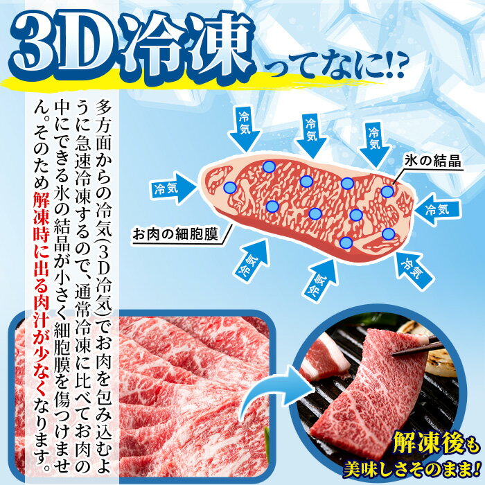 【ふるさと納税】＜先行予約受付中！2026年2月から順次発送予定＞＜宮崎牛・3D冷凍＞6部位食べ比べ焼肉(合計600g)牛肉 肉 ロース バラ モモ ヒレ ウデ セット 黒毛和牛 BBQ 国産 冷凍 宮崎県 門川町 ふるさと納税【R-27】【株式会社ミヤチク】 サムネイル3