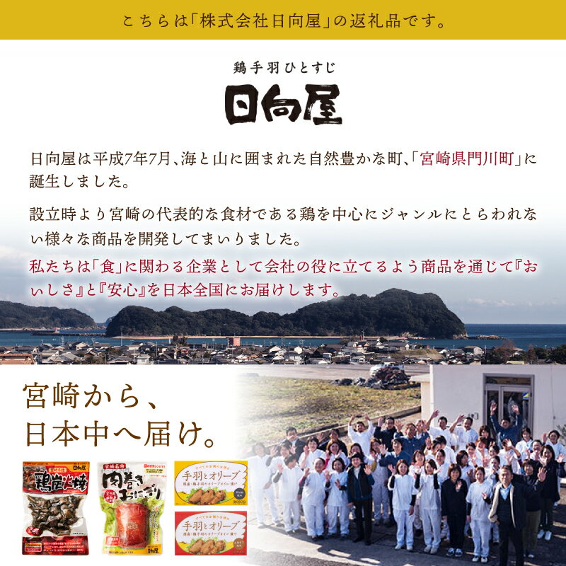 【ふるさと納税】＜内容量が選べる・1週間以内発送！＞ 鶏 炭火焼き(100g×1袋～30袋) 宮崎名物 レンジアップ 小分け 湯煎 レトルト 惣菜 簡単調理 鶏肉 国産 常温 常温保存 おつまみ おかず ご当地【AP-50・AP-51・AP-52・AP-58・AP-29】【株式会社 日向屋】 サムネイル2