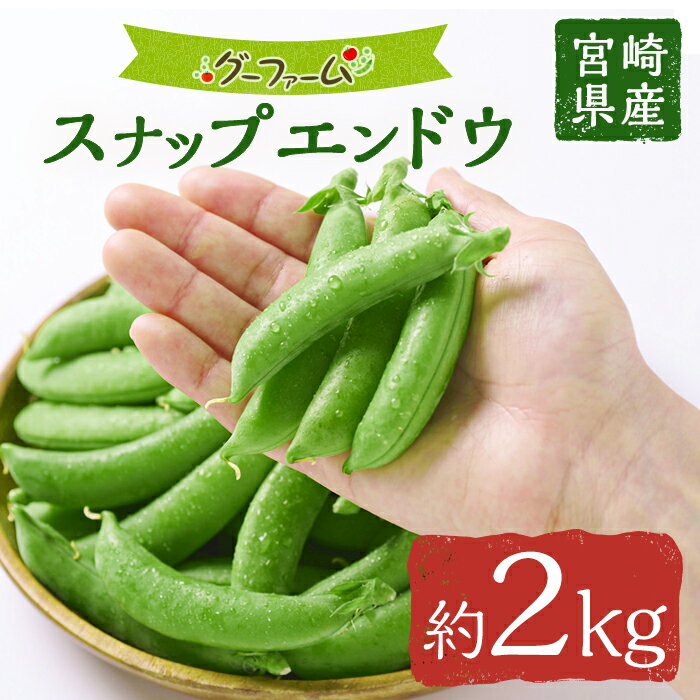 期間限定！スナップエンドウ(約2kg)野菜 やさい 旬 新鮮 サラダ そら豆 えんどう豆 宮崎県産【GF-1】【グーファーム】