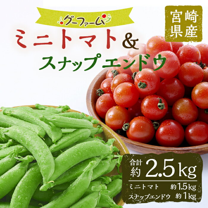 【ふるさと納税】＜期間限定＞ミニトマト(約1.5kg)とスナップエンドウ(約1kg)野菜 とまと えんどう豆 フルーツトマト サンチェリーピュア ダルタリー アイコ サラダ【GF-3】【グーファーム】 - 画像2