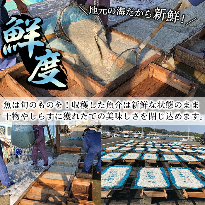 【ふるさと納税】岩田水産の「訳あり干物セット」(合計3.2kg以上・5種以上)ひもの 簡単 調理 冷凍 魚 海鮮 あじ ちりめん さば さごし かます めひかり いりこ 詰め合わせ 個包装 小分け 宮崎県 門川町【AS-2】【岩田水産】 サムネイル3
