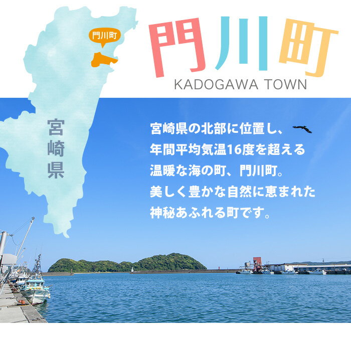 【ふるさと納税】＜寄附金の一部が保護活動費に＞かどっぴーポロシャツ！ファッション 洋服 半袖 速乾 UVカット 消臭 オリジナル ワンポイント マスコットキャラクター カンムリウミスズメ 宮崎県 門川町【AJ-3】【門川町観光協会】 サムネイル2