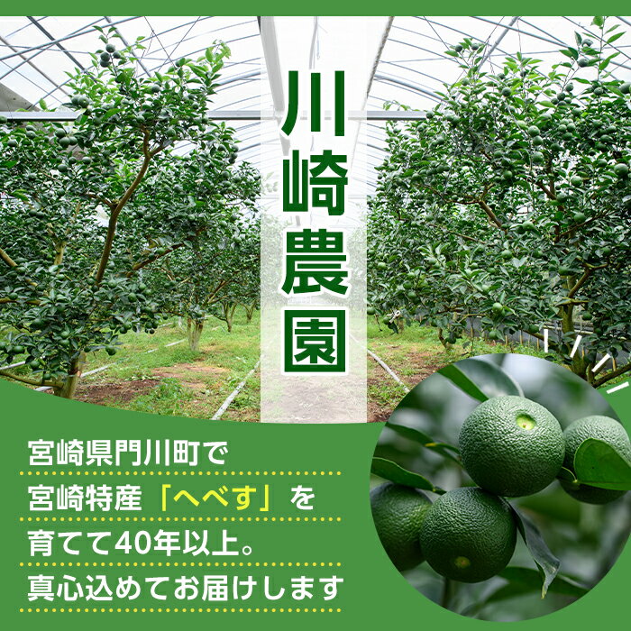 【ふるさと納税】＜先行予約受付中！2026年6～7月の間に発送予定＞期間限定！訳あり！門川町産へべす(2kg)柑橘 果汁 国産 特産品 宮崎県 門川町【AM-2】【川崎農園】 - 画像2