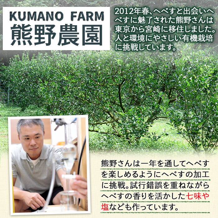 【ふるさと納税】＜先行予約受付中！2026年9月中に発送予定＞へべす約2kgとへべすが香る七味とうがらしのセット(合計2種・へべす青果約2kg、へべすが香る七味とうがらし15g)柑橘 果汁 国産 調味料 唐辛子 特産品 詰め合わせ 詰合せ 宮崎県 門川町【T-3】【熊野農園】 - 画像2