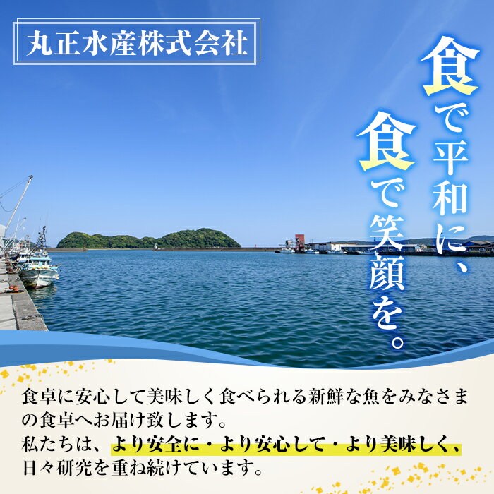 【ふるさと納税】＜選べる枚数！＞訳あり！国産特大あじの開き(計6～20枚)簡易包装 干物 アジ 魚介 水産加工品 開き おかず おつまみ 宮崎県 門川町【AW-22・AW-38】【丸正水産】 サムネイル2