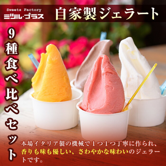 【ふるさと納税】＜先行予約受付中！2025年12月から順次発送予定＞自家製こだわり製法！自家製ジェラート(9個)【I-2】【ミツル・プラス】 サムネイル2