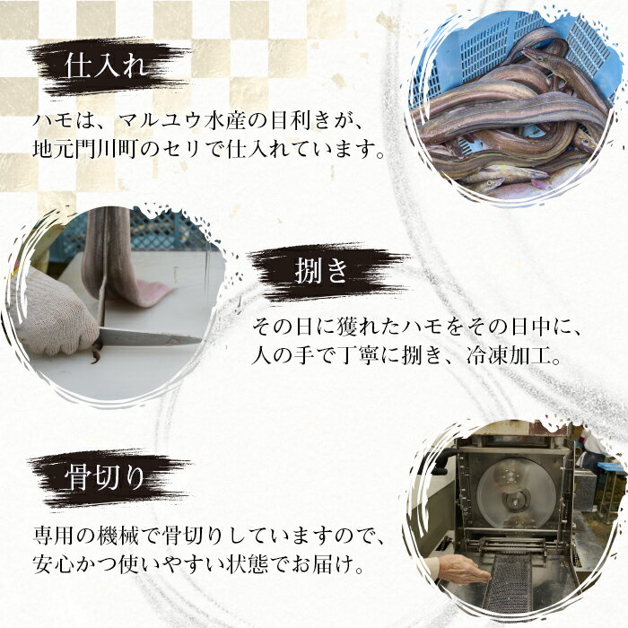 【ふるさと納税】＜訳あり・業務用＞加熱用はも(計約1kg・約500g×2パック)魚介 国産 ハモ 鱧 湯引き 天ぷら しゃぶしゃぶ 骨切り済 宮崎県 門川町【MR-2】【株式会社マルユウ水産】 サムネイル3