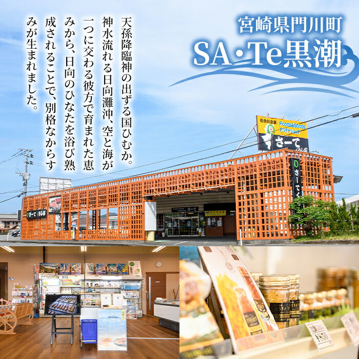 【ふるさと納税】からすみドライパウダー(25g)沖ボラ 魚卵 常温 保存 ボッタルガ 国産 お試し トッピング 珍味【B-9】【合同会社 SA・Te黒潮】 サムネイル2