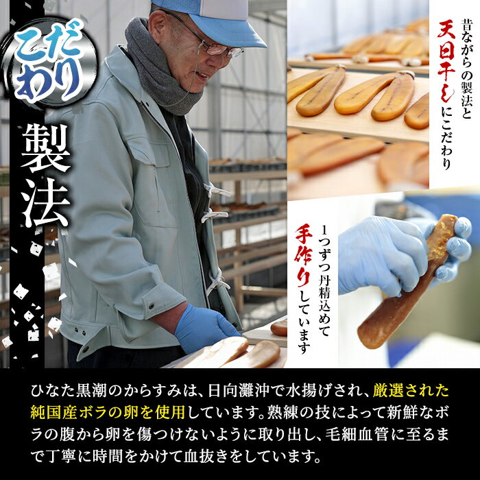 【ふるさと納税】からすみドライパウダー(25g)沖ボラ 魚卵 常温 保存 ボッタルガ 国産 お試し トッピング 珍味【B-9】【合同会社 SA・Te黒潮】 サムネイル3