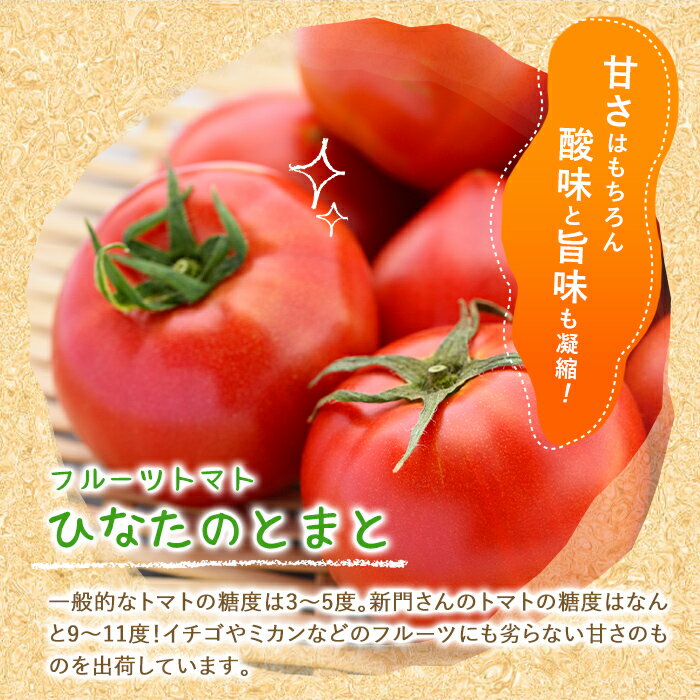 【ふるさと納税】＜内容量が選べる！＞ひなたのとまと(計1.1～3.3kg)トマト フルーツトマト 糖度 9度 以上 野菜 旬野菜 冷蔵 門川町産 宮崎県 門川町【A-3・A-4・A-5】【株式会社 新門トマト農園】 - 画像3