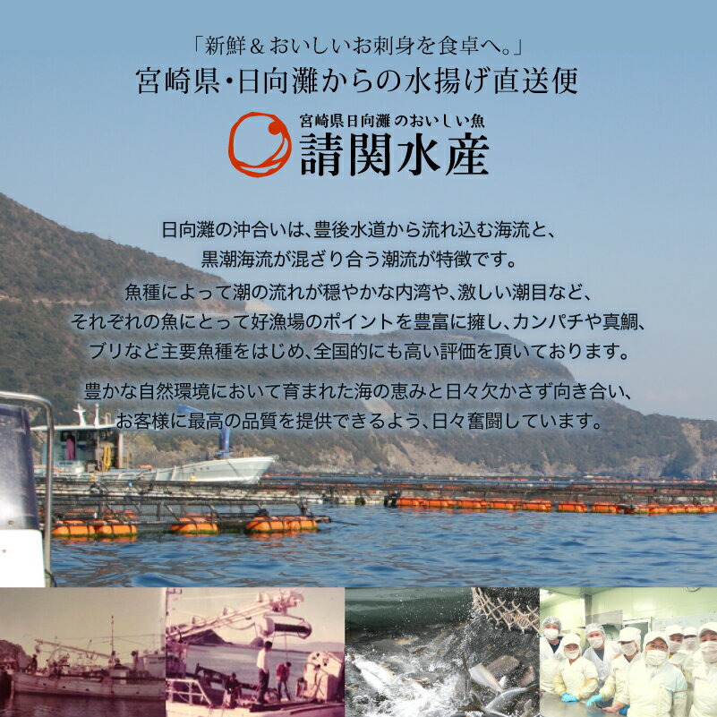 【ふるさと納税】【北海道・離島配送不可】＜定期便・全3回(連続)＞旬の鮮魚(3ヶ月コース)ブリ かんぱち 真鯛 ヒラメ シマアジ サーモン 冷蔵 簡単調理 刺身 国産 お造り 柵 お楽しみ 切るだけ【UZ-02】【請関水産】 サムネイル3