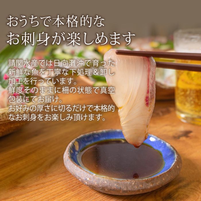 【ふるさと納税】【北海道・離島配送不可】＜定期便・全3回(連続)＞旬の鮮魚(3ヶ月コース)ブリ かんぱち 真鯛 ヒラメ シマアジ サーモン 冷蔵 簡単調理 刺身 国産 お造り 柵 お楽しみ 切るだけ【UZ-02】【請関水産】 サムネイル2