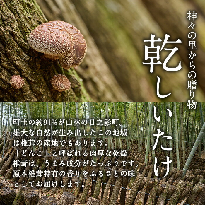 【ふるさと納税】【定期便・全3回(毎月)】乾椎茸肉厚どんこ(80g×3袋×3回)宮崎県産 原木栽培 特選 干し椎茸 しいたけ きのこ【NK013】【宮崎県農業協同組合　高千穂地区本部】 - 画像2