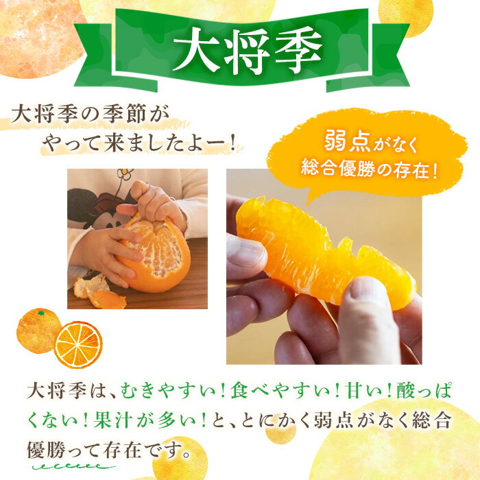 【ふるさと納税】＜先行予約受付中！2026年1月中旬以降順次発送予定＞＜サイズ・内容量が選べる！＞数量限定！大将季 (6～12個・2L～4L) 柑橘 フルーツ 果物 国産 みかん 期間限定 不知火 しらぬい シラヌイ ミカン【株式会社イロドリ】 サムネイル2