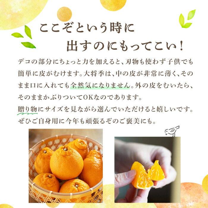 【ふるさと納税】＜先行予約受付中！2026年1月中旬以降順次発送予定＞＜サイズ・内容量が選べる！＞数量限定！大将季 (6～12個・2L～4L) 柑橘 フルーツ 果物 国産 みかん 期間限定 不知火 しらぬい シラヌイ ミカン【株式会社イロドリ】 サムネイル3