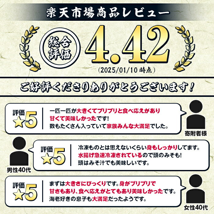 【ふるさと納税】＼高評価★4.42獲得！／数量限定！鹿児島県阿久根産 薩摩甘エビ(約1kg・40〜70尾) 国産 阿久根市産 えび 海老 急速冷凍 冷凍配送 魚貝類 魚介類 海産物 【濱崎魚類】akn023-05 サムネイル2