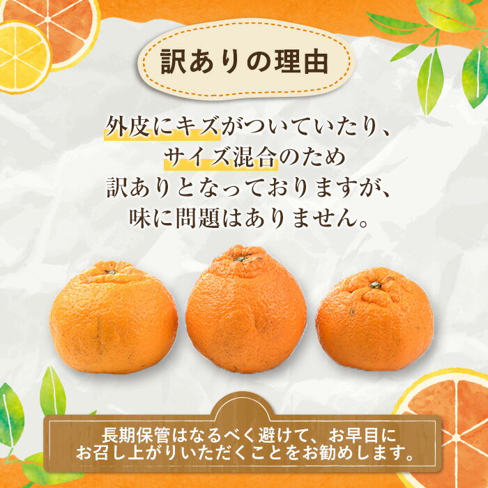 【ふるさと納税】＜先行予約受付中！2026年2月以降順次発送予定＞訳あり不知火(約4kg) 国産 鹿児島県産 果物 フルーツ 柑橘 不知火【松永青果】akn053-17 サムネイル3