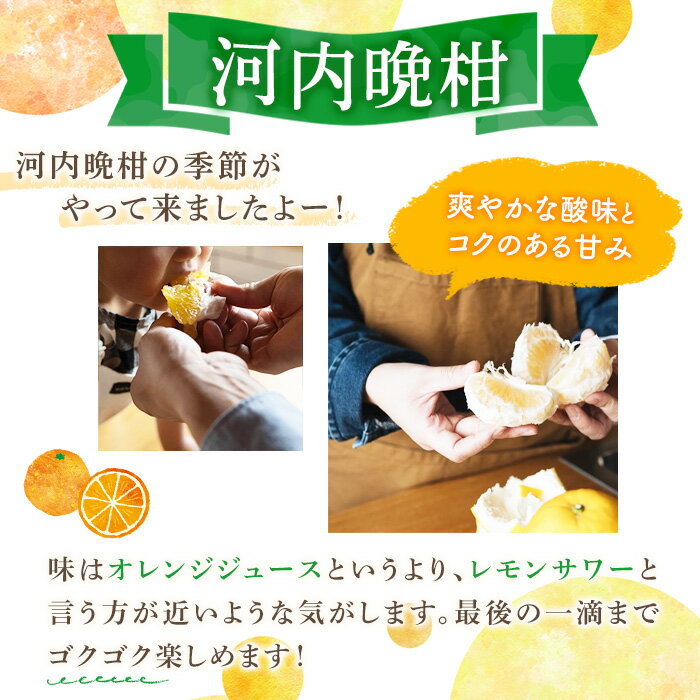 【ふるさと納税】＜先行予約受付中！2026年3月中旬以降順次発送予定＞＜サイズ・容量が選べる！＞数量限定！河内晩柑(S〜3L、16〜18個) 柑橘 フルーツ 果物 国産 みかん 期間限定【株式会社イロドリ】 サムネイル2