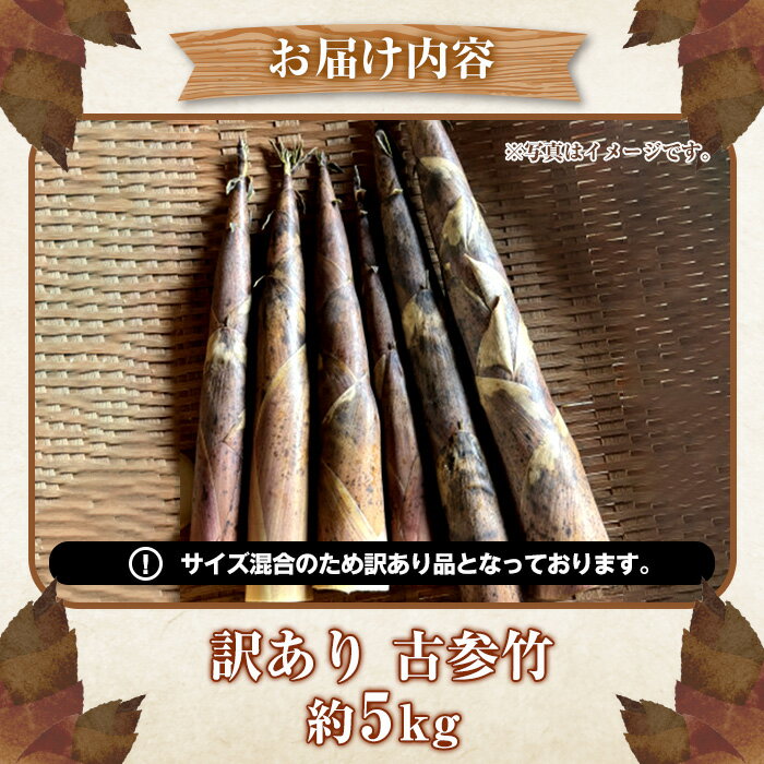 【ふるさと納税】＜先行予約受付中！2026年4月下旬以降順次発送予定＞訳あり！古参竹(約5kg) 鹿児島県 阿久根市 古参竹 こさんだけ 竹の子 タケノコ たけのこ 天ぷら 炒め物 メンマ 煮物 サイズ混合 訳アリ 野菜 青果【松永青果】akn053-22 - 画像2
