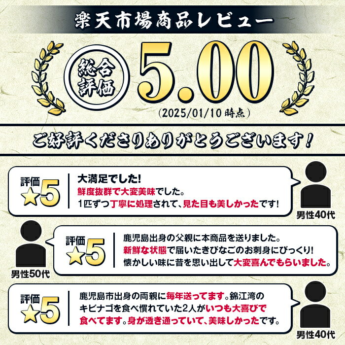 【ふるさと納税】＼高評価★5.0獲得！／鹿児島県阿久根産 天然きびなごのお刺身(計160尾・40尾×4パック)国産 魚介 魚貝 海産物 鮮魚 冷蔵配送 キビナゴ 海鮮丼 食品 セット 詰め合わせ 水産加工品【濱崎魚類】akn023-02 サムネイル2